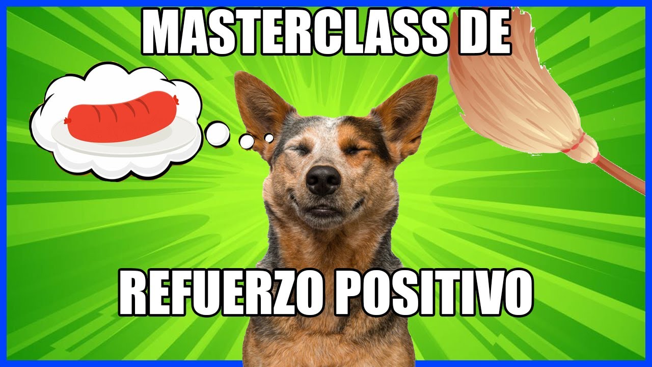 Masterclass Sobre El Refuerzo Positivo