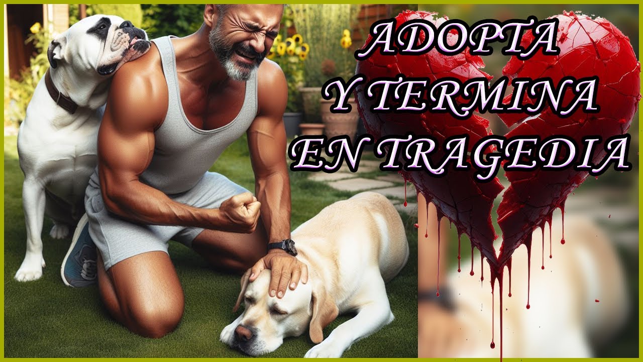 Adopta Perro