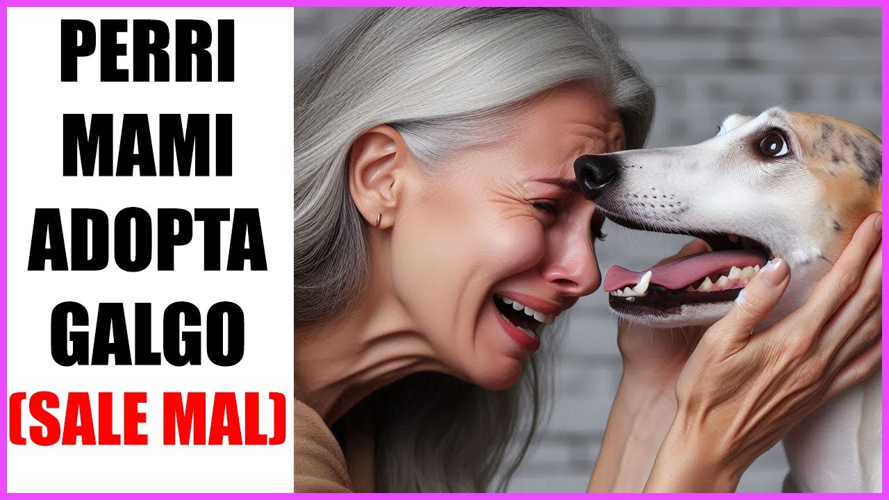 Galgo