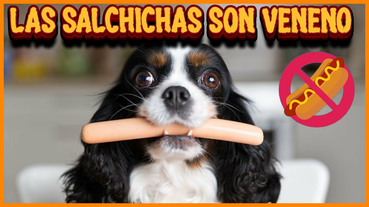 Las Salchichas Son Veneno